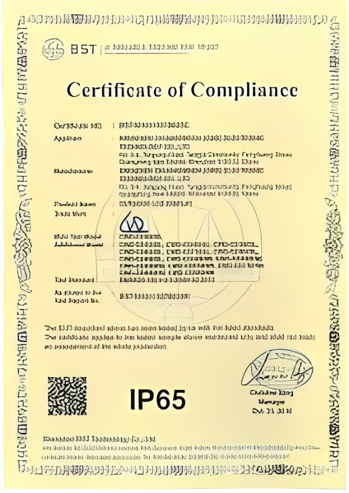 IP65 Rating
